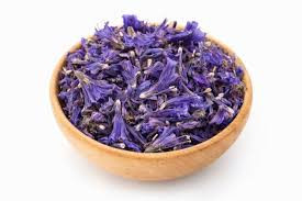 گل گاوزبان